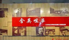 鲁迅博物馆爆料案件最新,揭秘背后真相与疑云